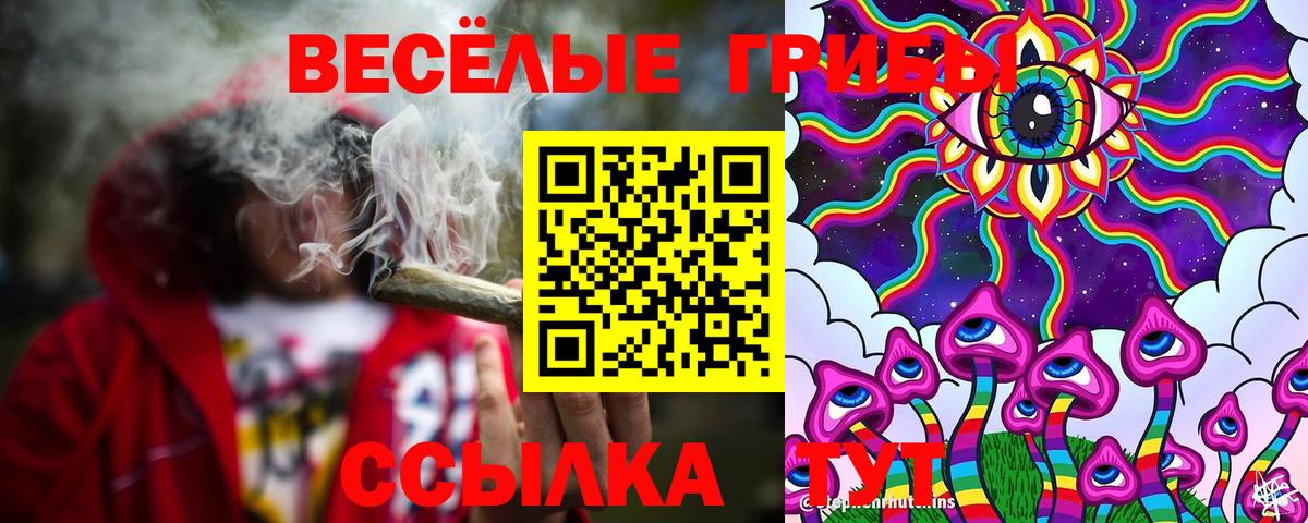 Псилоцибиновые грибы MAGIC MUSHROOMS  Псилоцибиновые грибы Cubensis  Вход с VPN  Нижнеудинск 